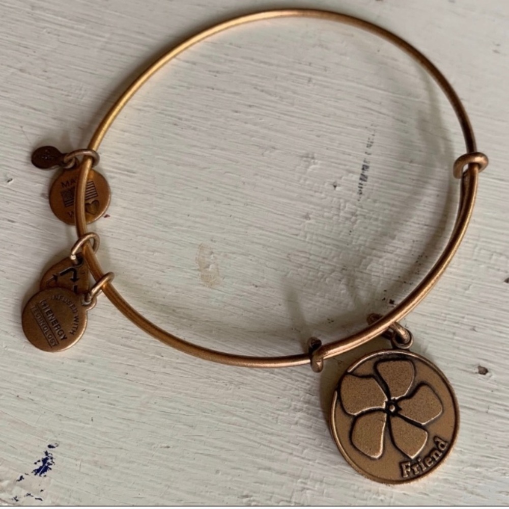 Alex & Ani : goldtone friend charm bracelet